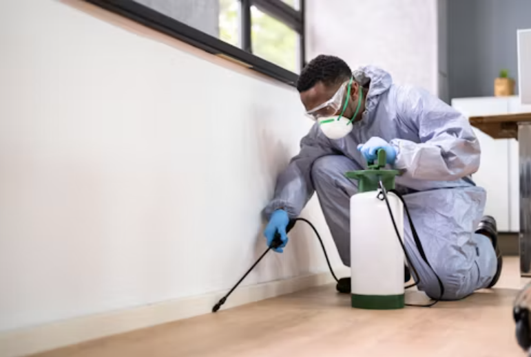 Tampa Termite & Pest Control Management