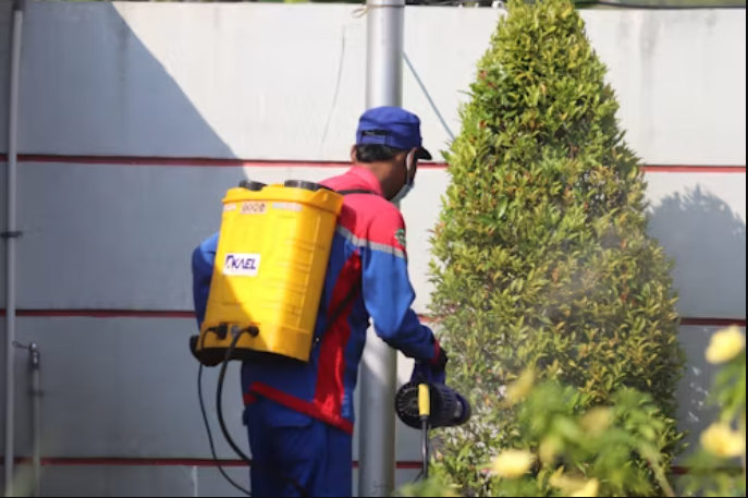 Tampa Termite & Pest Control